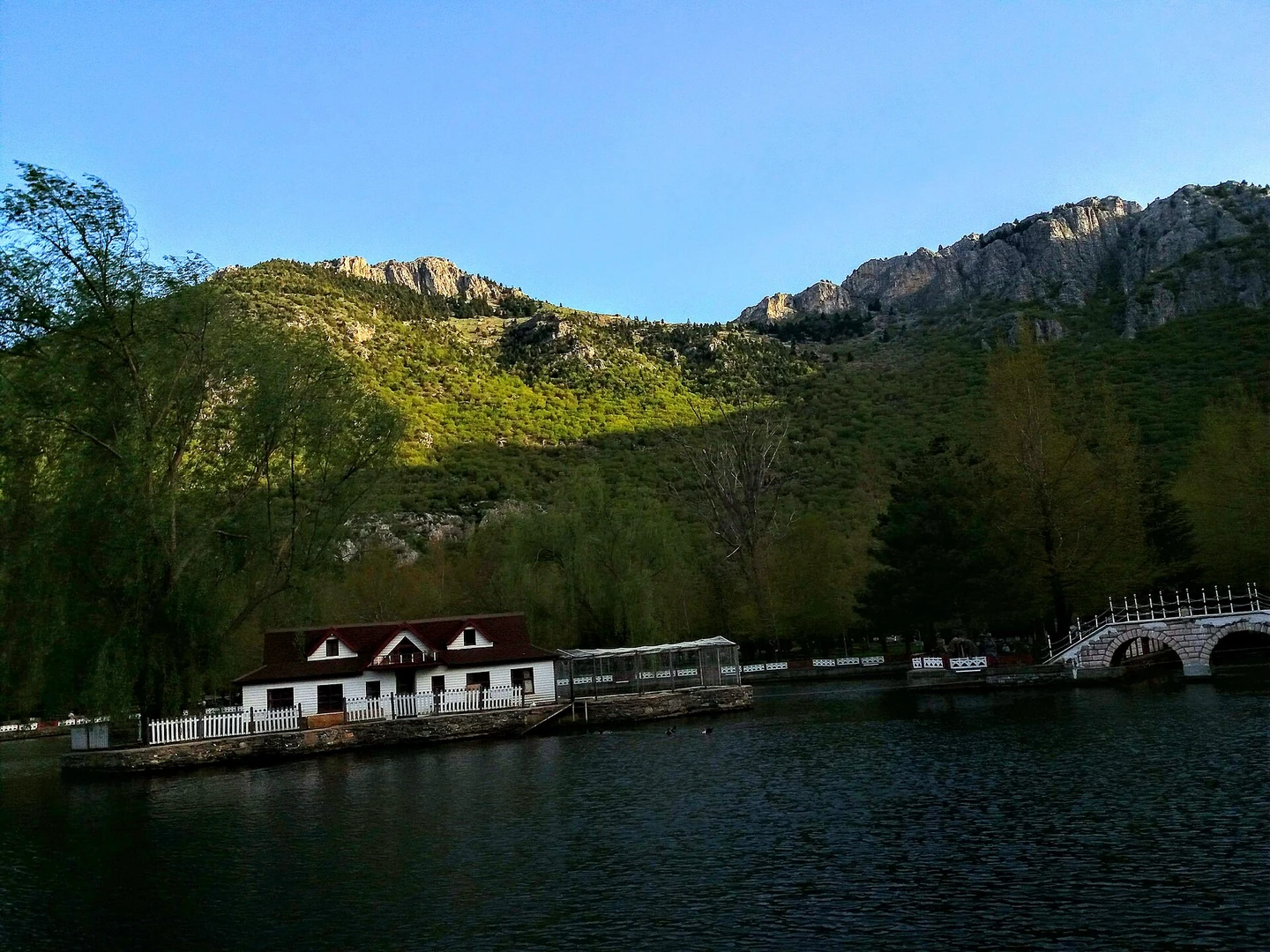 Ankara Kuğulu Park'ta yeşil alan